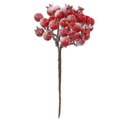 Beeren-Bündel, Rot