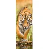 Jumboposter Big Tiger Walking, Nr. 33