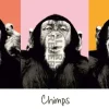 Jumboposter The Chimp - Pop, Nr. 36