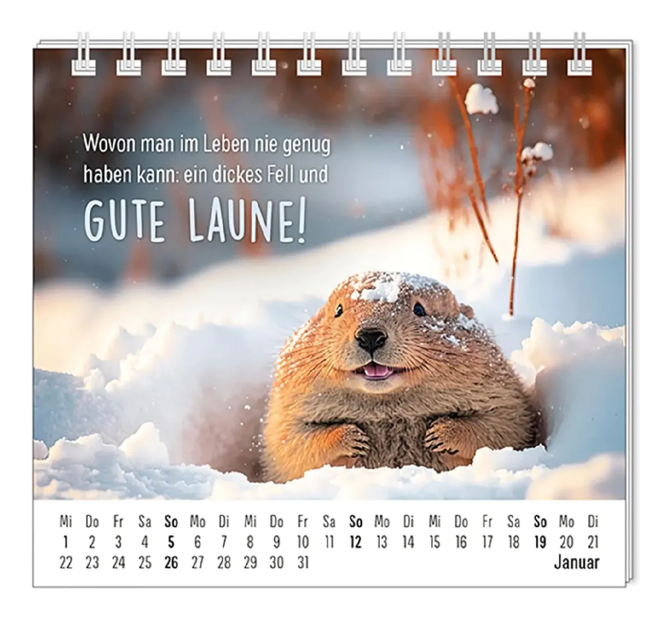 Mini-Tischkalender 2025, Happymacher