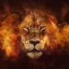 Poster Flaming Lion, Nr. 98