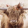 Poster Floral Highlander, Nr. 3