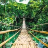 Poster Jungle Bridge, Nr. 117