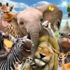 Poster Tiere Wildlife, Nr. 141
