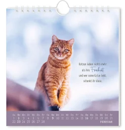 Postkarten Kalender, 2025, Auf Leisen Pfoten