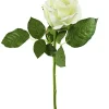 Rose, 30 Cm, Weiß