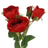 Rose Alina, 3 Blüten/rot, 38 Cm