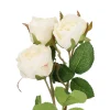 Rose Alina, 3 Blüten/weiß, 38 Cm