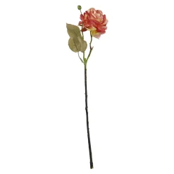 Rose Mathilda, Orange, 45 Cm