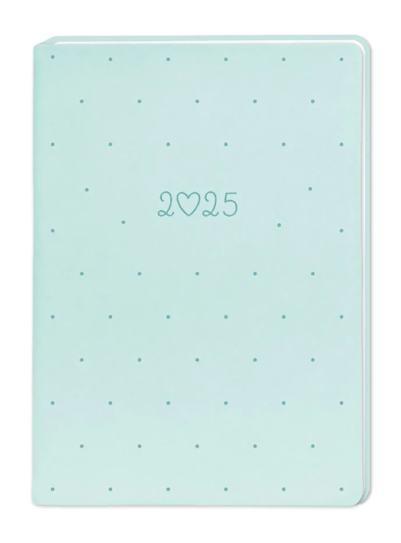 Terminplaner Lederlook, 2025, Mint